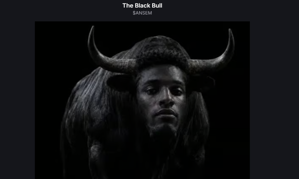 $ANSEM - The Black Bull