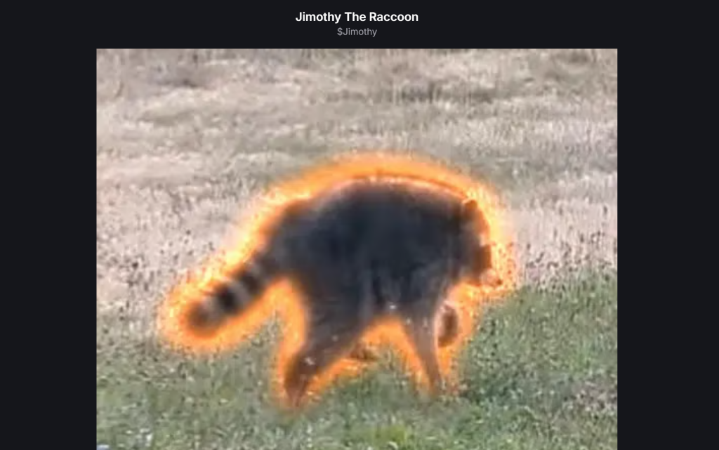 $JIMOTHY - Jimothy The Raccoon
